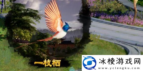 剑网3一枝栖宠物奇遇怎么做