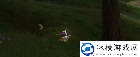 剑网3太行道宠物奇遇怎么做