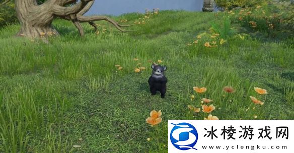 剑网3太行道宠物奇遇怎么做