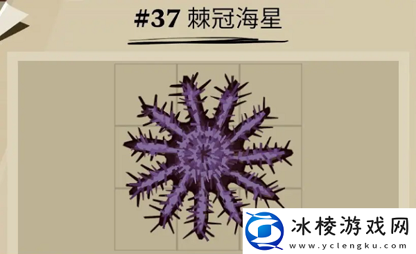 棘冠海星位置一览：游戏剧情深度解读