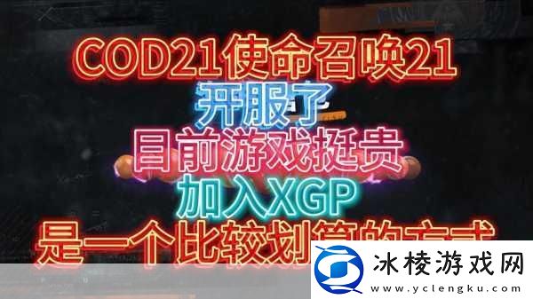 使命召唤成功带动-XGP:会员激活码销量暴涨-游戏界的新风暴