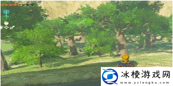 金苹果有什么用：游戏资源优化方案