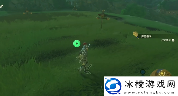 海拉鲁米在哪:资源最大化使用全解