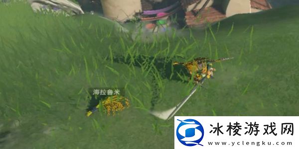 海拉鲁米在哪：资源最大化使用全解