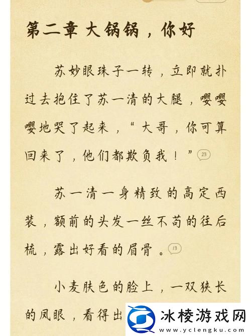 新探索“苏软软汆肉的日常系统”：美味与生活的奇妙交汇