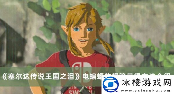 电蝙蝠的翅膀获得方法介绍：怪物掉落物品分析，针对性刷怪获取所需