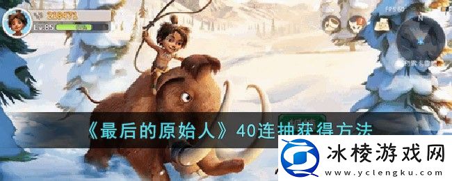 40连抽获得方法：角色属性与装备选择分析