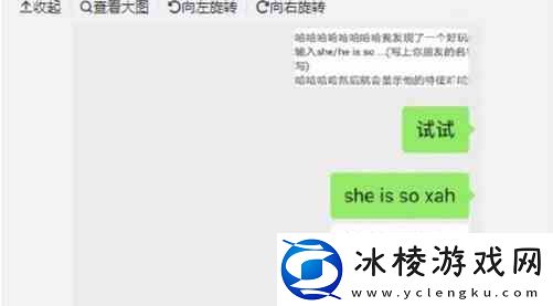 微信she-is-so什么梗推荐