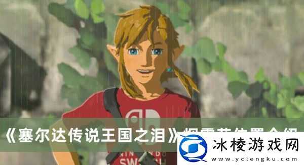 烟雾菇位置介绍：副本挑战心得与实战技巧分享