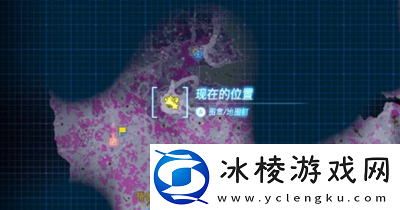 炸弹花位置介绍：最强角色搭配方案