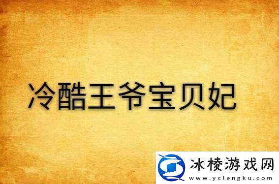 宝贝妃传奇：科技冷峻王