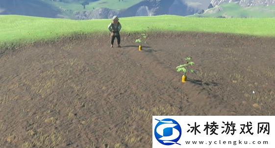 在乌梅的田里种什么任务攻略：游戏更新内容与版本特色分析