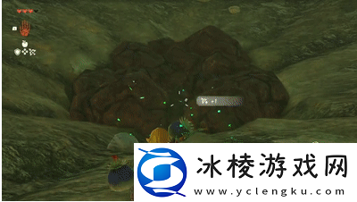 炸弹花位置介绍：最强角色搭配方案