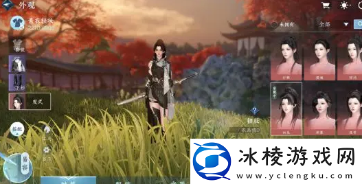 染发方法：神秘任务全解析指南