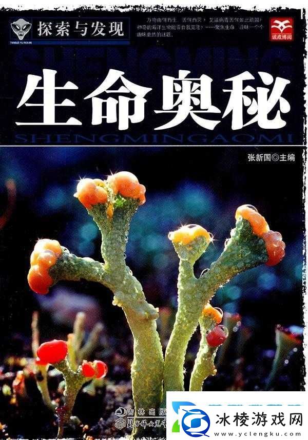 深度探索：又深又粗精69XX的奥秘