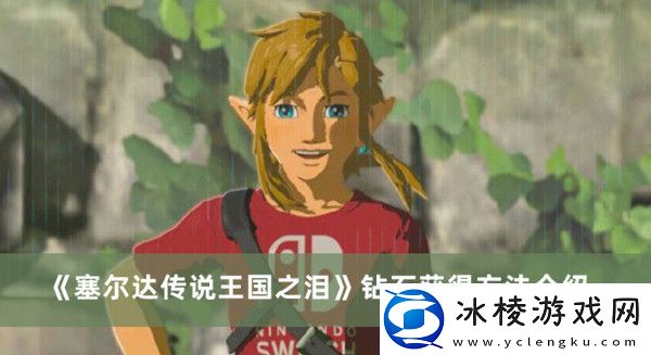 钻石获得方法介绍：任务流程与高效完成技巧