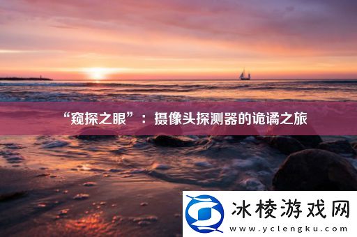 “窥探之眼”：摄像头探测器的诡谲之旅