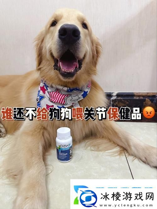 内容丰富欧美人和禽胶配方大全友热议：创新与传统的完美结合柯林