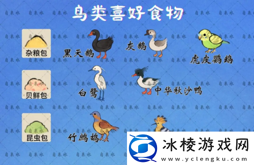 鸟类喜好图鉴：战斗节奏感知与操作提升