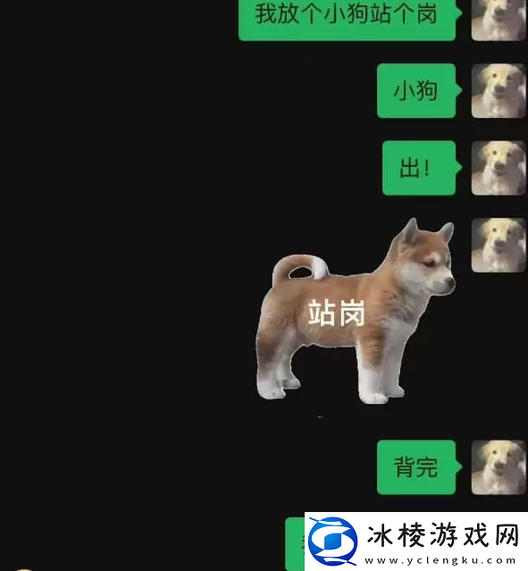 站岗小狗什么梗
