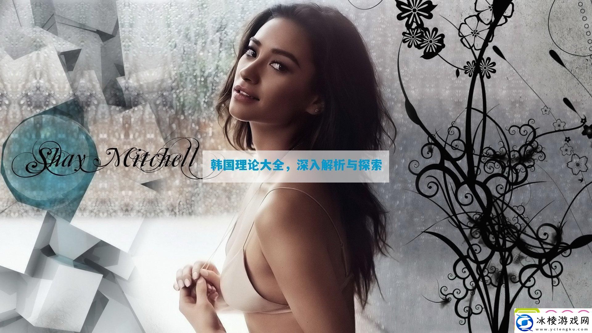 韩国理论大全-深入解析与探索