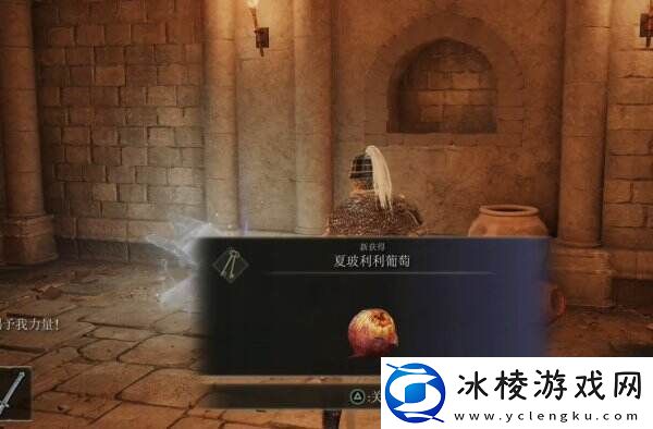 艾尔登法环受净化的废墟地下室在哪