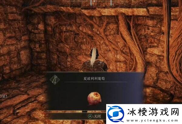 艾尔登法环受净化的废墟地下室在哪