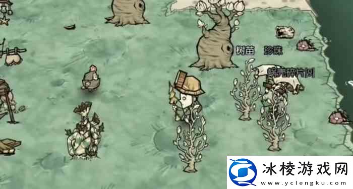 饥荒新家园寄居蟹有什么用