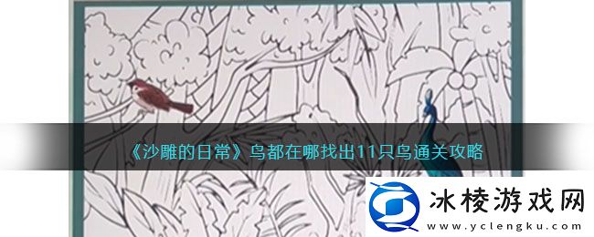 鸟都在哪找出11只鸟通关攻略：攻略明确升级策略