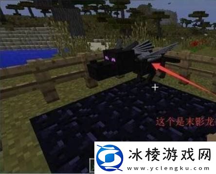 我的世界手游龙蛋怎么孵化龙蛋孵化方法