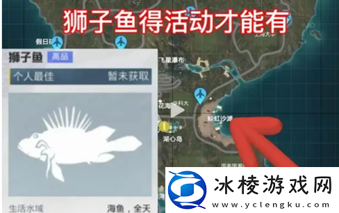 钓鱼大赛每天钓鱼上限数量介绍：战场布局与战术调整建议