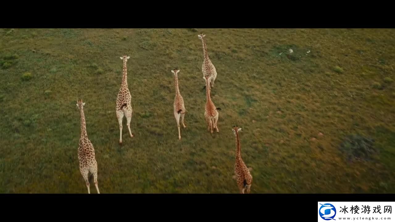 电影星际宝贝新预告