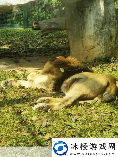 满18点此安全转入2023大象1.＂勇闯18岁