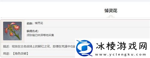 悼灵花刷新时间介绍：装备词条解析与搭配策略