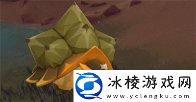 3,6玳龟位置介绍：社交互动与好友助力