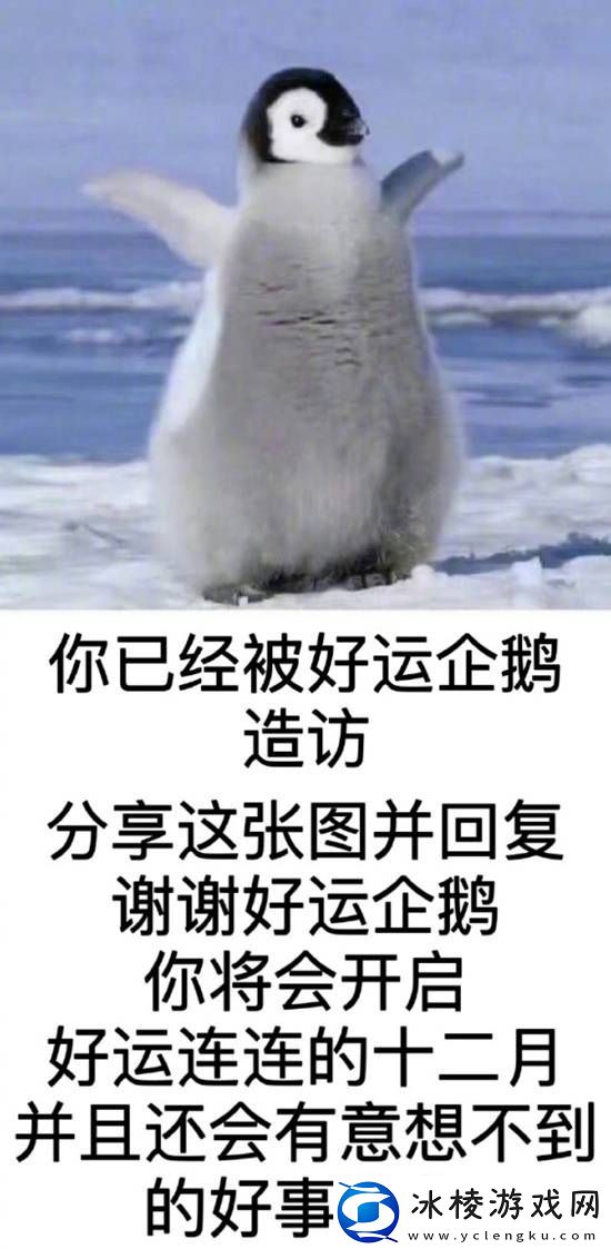 女同事都把腿放在桌子上