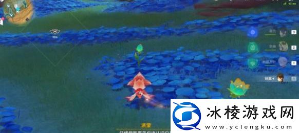 净觉花在什么地方：稀有宝藏获取窍门