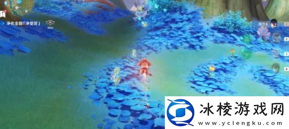 净觉花在什么地方：稀有宝藏获取窍门