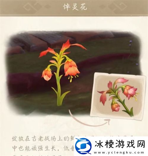 悼灵花刷新时间介绍：装备词条解析与搭配策略