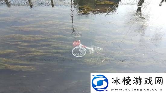 共享单车被丢河里每月可捞数百辆
