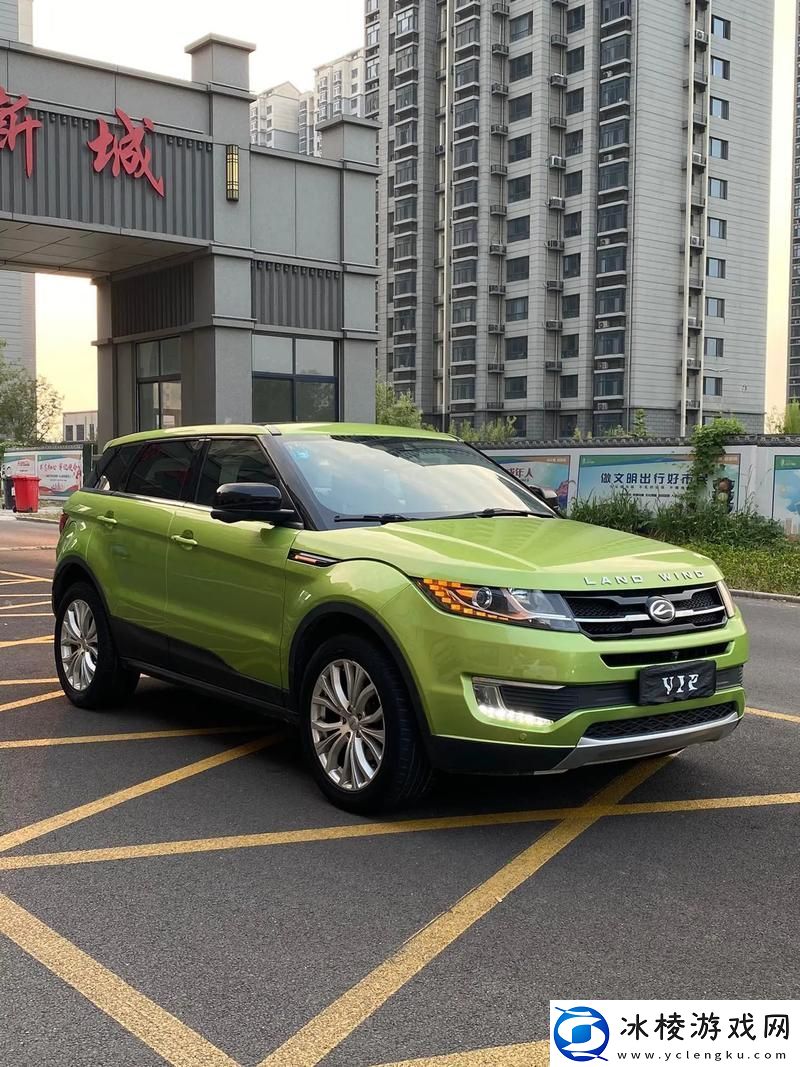 国产SUV精品一区二妻：探索中国汽车市场的新风尚