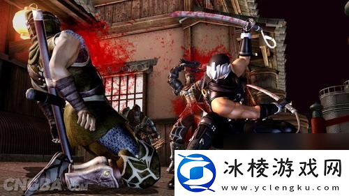 忍者龙剑传3-刀锋边缘极忍任务10打法