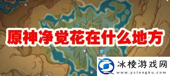 净觉花在什么地方：稀有宝藏获取窍门