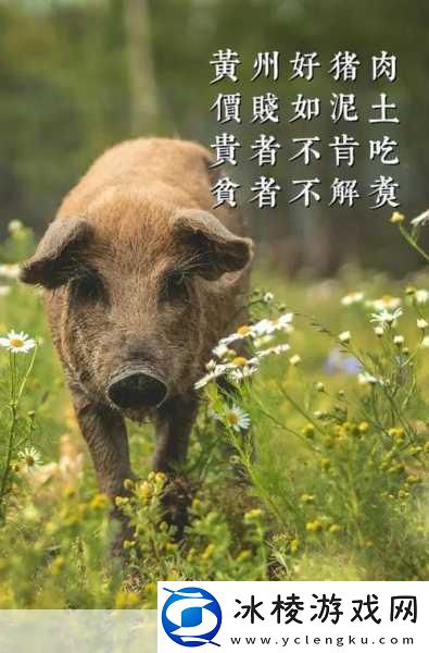 人马畜禽company免费澎湃号-1.-人马畜禽公司：探索现代农业的无限可能