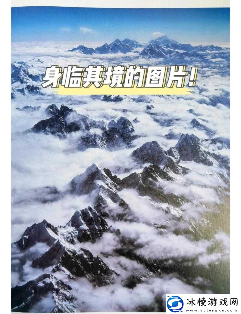 一本久：带你领略精彩绝伦的知识世界之旅