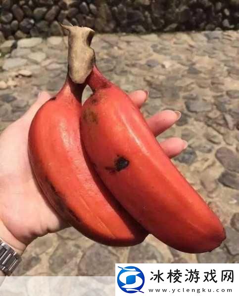 香蕉榴莲秋葵绿巨人WWW-1.-探索水果界的奇妙搭配：香蕉、榴莲与秋葵