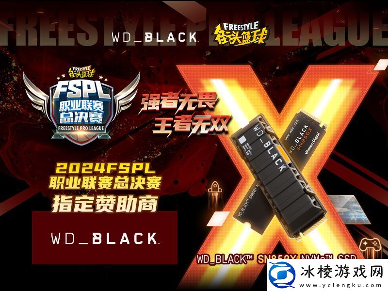 WD-BLACK硬核助力2024FSPL职业联赛总决赛