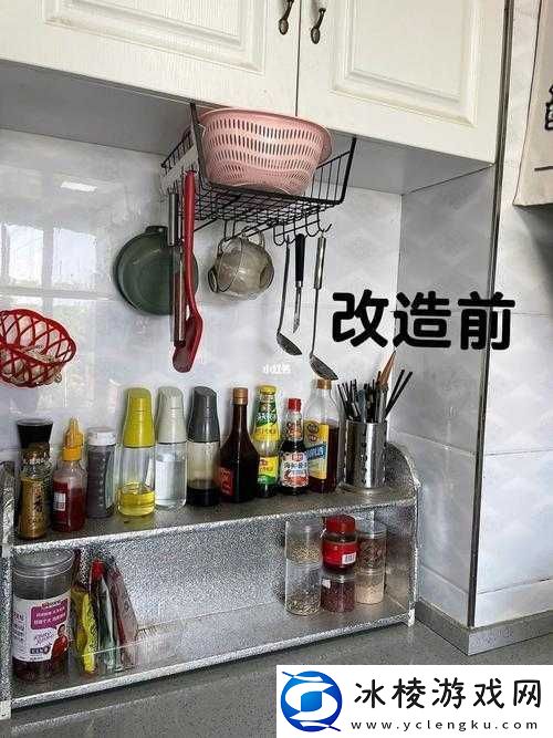 厨房里激战2与普通版对比：深入剖析二者差异与特色