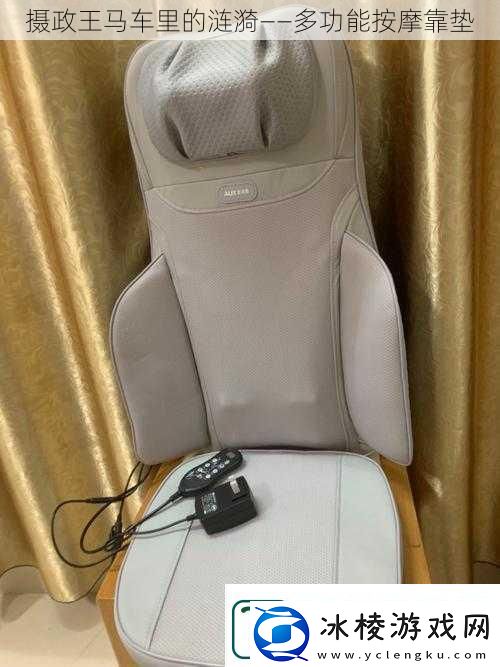 摄政王马车里的涟漪——多功能按摩靠垫