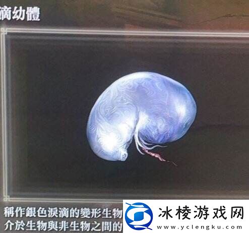 艾尔登法环洗点道具怎么获得